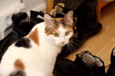 IMG_0247.jpg
