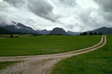 dp1 (11).jpg