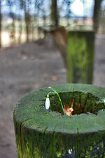 IMG_8741.jpg