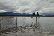 dp1 (16).jpg
