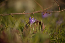 DSC_6289-2.jpg