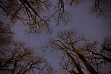 DSC05507.jpg