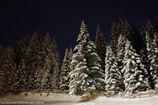 TM2B9086.JPG TM2B9086.JPG