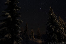 TM2B9112.JPG TM2B9112.JPG