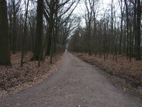 PC210060.jpg