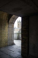 IMG_7793.jpg