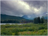 landscape_denali 3.jpg