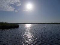 P1020491_k.jpg
