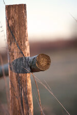 blf_99_30.12.2013.jpg