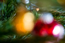 comp_IMG_5311.jpg