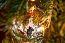 comp_IMG_5320.jpg