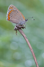 20130828-IMG_7088.jpg