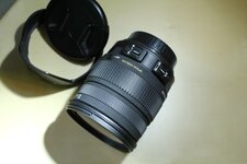 SigmaIMG_9856.jpg