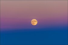Fullmoon (Large).jpg