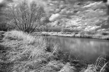 DSC00251 neu.jpg