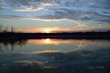 comp_DSC_0105_4466.jpg