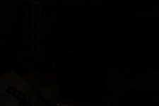DSC02237.jpg