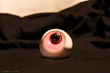 Compressed_0032.jpg