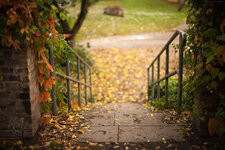 Andy_X_0322.jpg