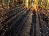 IMG_0201_DxO-Bearbeitet.jpg