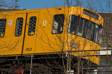 OLLI3669.jpg