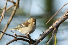 comp_IMG_7863-Bearbeitet.jpg