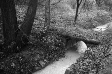 DSC_1184_1.jpg