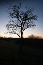 DSC05611.jpg