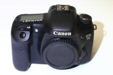 7d-1.jpg