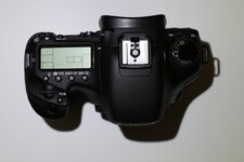 7d-3.jpg