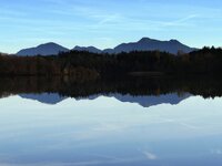 comp_DSC05121.jpg