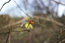 IMG_0846.jpg
