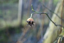 IMG_0848.jpg