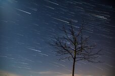 startrails1.jpg