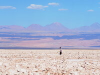 altiplano (2040).JPG