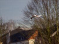 20131231-PC310778.jpg
