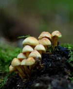DSCF0574.JPG