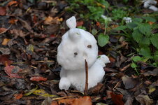 DSC_0254 verkleinert.jpg