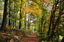 DSC_0261 verkleinert.jpg