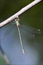 2009.08.14 Spreewald 074_n.jpg