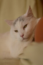 IMG_8027_1200.jpg
