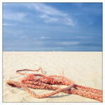 Norderney_064_20110822_Strand.jpg