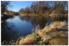 Saale1_2013.jpg