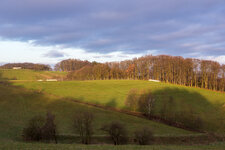 Odenwald 05.jpg