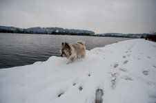 IMG_6804.jpg