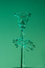 Tulpen-5.jpg