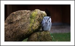 IMG_6837 als Smartobjekt-1_k.jpg