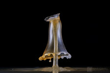 DN_MG_7871_F.jpg
