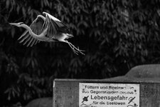 20140203_ZooOsnabrück_9511_JPEG.jpg