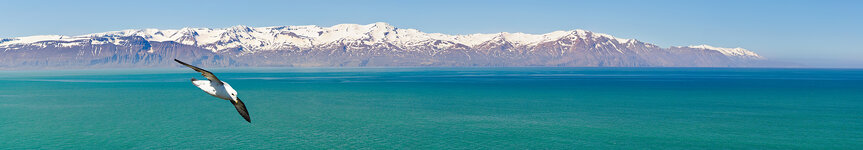 DSC_7939fr.jpg